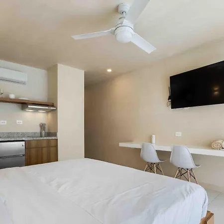 Ideal Studio For Digital Nomads